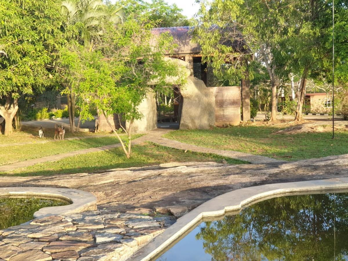 Resort Vintara Eco 4*