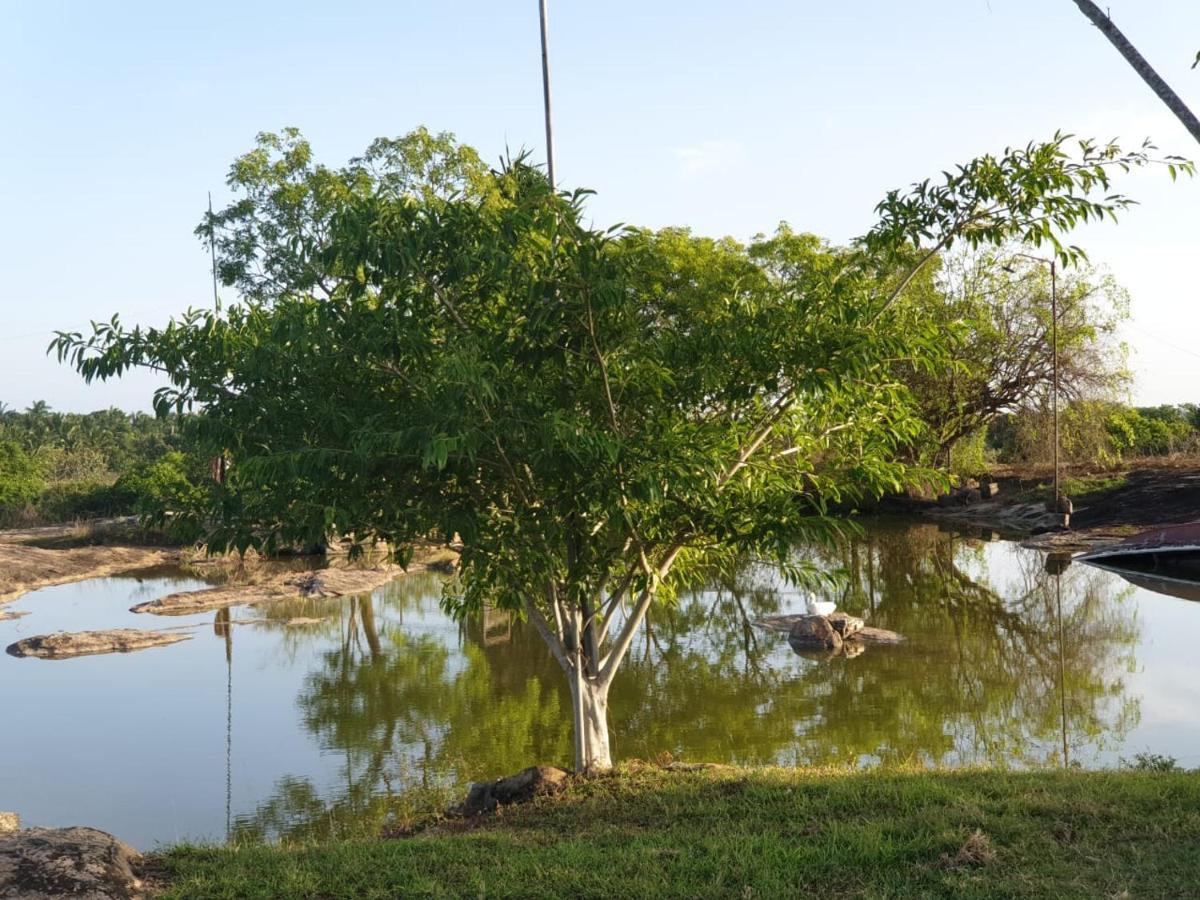 Resort Vintara Eco