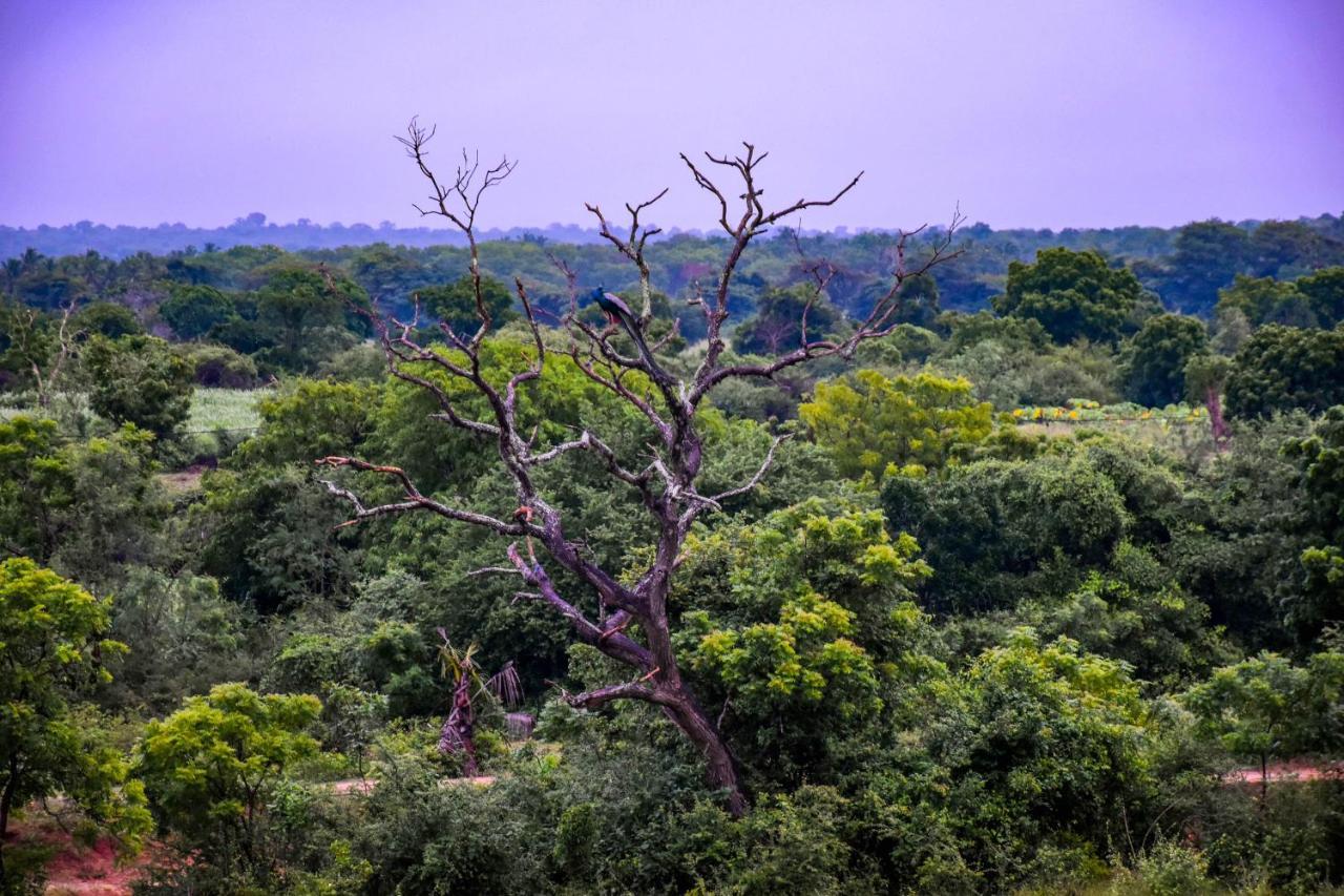 Vintara Eco Resort Hambantota