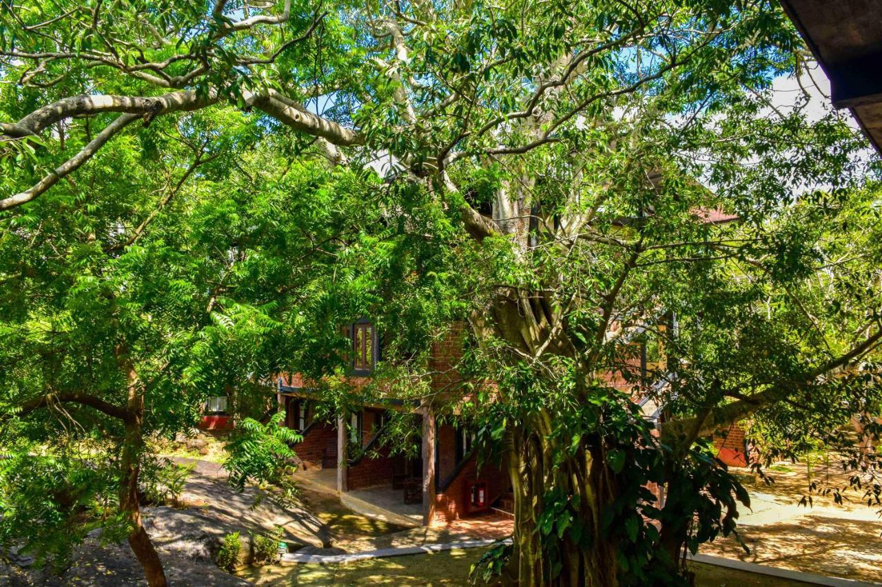 Resort Vintara Eco Hambantota