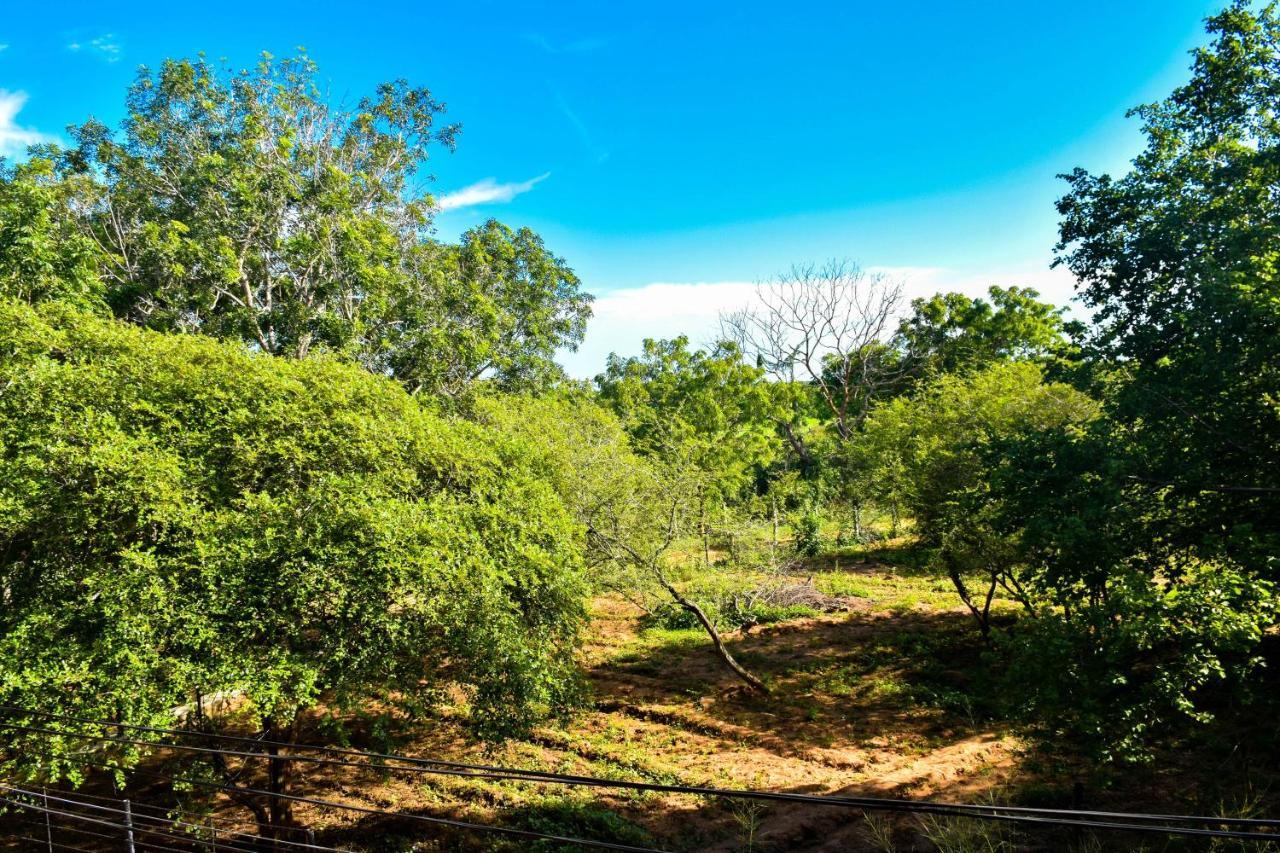 Vintara Eco 4*