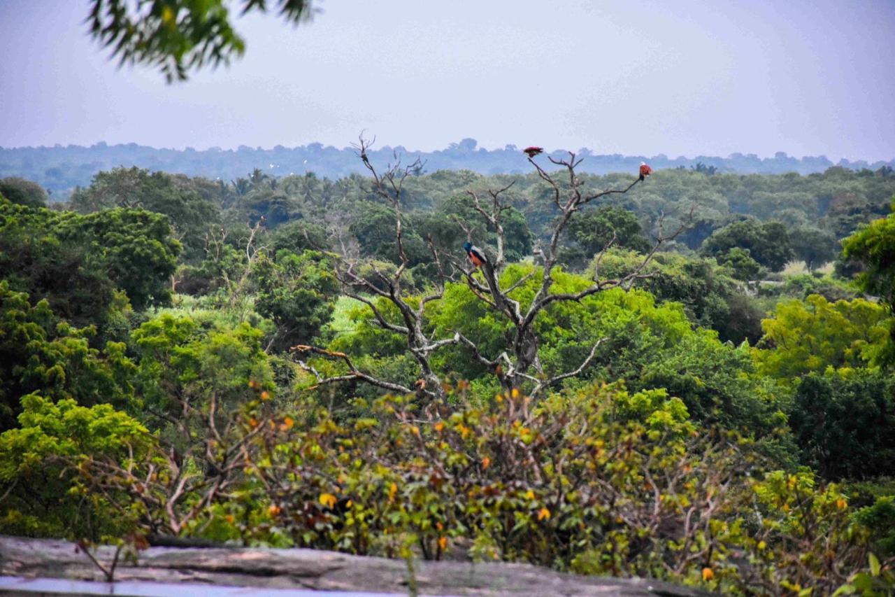 Resort Vintara Eco Hambantota